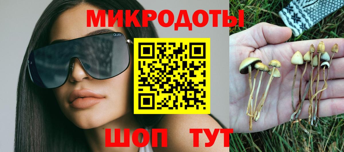 Псилоцибиновые грибы мицелий  Вход с VPN  продажа наркотиков  Псилоцибиновые грибы MAGIC MUSHROOMS  Дальнегорск 